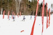 FIS Skandināvijas kauss 2019, sprints, Foto: A.Veckalniņš