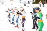 FIS Skandināvijas kauss 2019, sprints, Foto: A.Veckalniņš