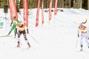 FIS Skandināvijas kauss 2019, sprints, Foto: A.Veckalniņš