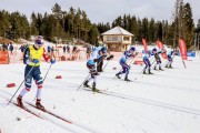 FIS Skandināvijas kauss 2019, sprints, Foto: A.Veckalniņš