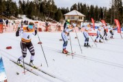 FIS Skandināvijas kauss 2019, sprints, Foto: A.Veckalniņš