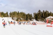 FIS Skandināvijas kauss 2019, sprints, Foto: A.Veckalniņš