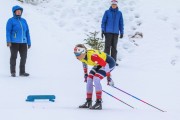 FIS Skandināvijas kauss 2019, individuālā C, Foto: A.Veckalniņš