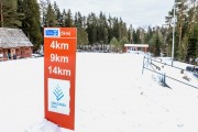 FIS Skandināvijas kauss 2019, individuālā C, Foto: A.Veckalniņš