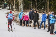 FIS Skandināvijas kauss 2019, individuālā C, Foto: A.Veckalniņš