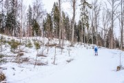 FIS Skandināvijas kauss 2019, individuālā C, Foto: A.Veckalniņš