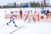 FIS Skandināvijas kauss 2019, individuālā C, Foto: A.Veckalniņš