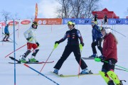 FIS Baltijas kauss 2.posms, NJR un ENL slaloms, Foto: E.Lukšo