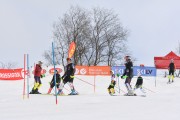 FIS Baltijas kauss 2.posms, NJR un ENL slaloms, Foto: E.Lukšo