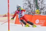 FIS Baltijas kauss 2.posms, NJR un ENL slaloms, Foto: E.Lukšo