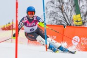 FIS Baltijas kauss 2.posms, NJR un ENL slaloms, Foto: E.Lukšo