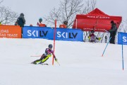 FIS Baltijas kauss 2.posms, NJR un ENL slaloms, Foto: E.Lukšo