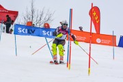 FIS Baltijas kauss 2.posms, NJR un ENL slaloms, Foto: E.Lukšo