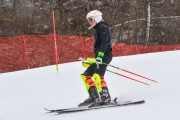 FIS Baltijas kauss 2.posms, FIS paralēlais slaloms, Foto: E.Lukšo