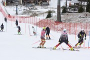 FIS Baltijas kauss 2.posms, FIS paralēlais slaloms, Foto: E.Lukšo