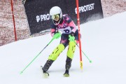 FIS Baltijas kauss 2.posms, FIS paralēlais slaloms, Foto: E.Lukšo