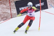 FIS Baltijas kauss 2.posms, FIS paralēlais slaloms, Foto: E.Lukšo