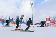 FIS Baltijas kauss 2.posms, FIS paralēlais slaloms, Foto: E.Lukšo