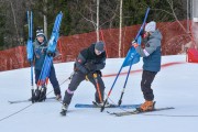 FIS Baltijas kauss 2.posms, FIS paralēlais slaloms, Foto: E.Lukšo