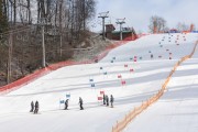 FIS Baltijas kauss 2.posms, FIS paralēlais slaloms, Foto: E.Lukšo