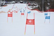 FIS Baltijas kauss 2.posms, FIS paralēlais slaloms, Foto: E.Lukšo