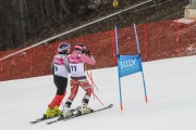 FIS Baltijas kauss 2.posms, FIS paralēlais slaloms, Foto: E.Lukšo