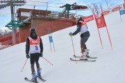 FIS Baltijas kauss 2.posms, FIS paralēlais slaloms, Foto: E.Lukšo