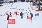 FIS Baltijas kauss 2.posms, FIS paralēlais slaloms, Foto: E.Lukšo