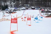 FIS Baltijas kauss 2.posms, FIS paralēlais slaloms, Foto: E.Lukšo