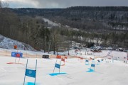 FIS Baltijas kauss 2.posms, FIS paralēlais slaloms, Foto: E.Lukšo