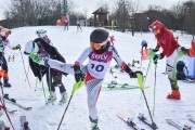 FIS Baltijas kauss 2.posms, FIS paralēlais slaloms, Foto: E.Lukšo