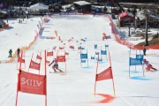 FIS Baltijas kauss 2.posms, FIS paralēlais slaloms, Foto: E.Lukšo