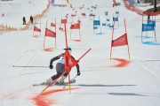 FIS Baltijas kauss 2.posms, FIS paralēlais slaloms, Foto: E.Lukšo