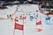 FIS Baltijas kauss 2.posms, FIS paralēlais slaloms, Foto: E.Lukšo