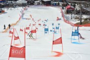 FIS Baltijas kauss 2.posms, FIS paralēlais slaloms, Foto: E.Lukšo