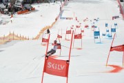 FIS Baltijas kauss 2.posms, FIS paralēlais slaloms, Foto: E.Lukšo