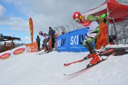 FIS Baltijas kauss 2.posms, FIS paralēlais slaloms, Foto: E.Lukšo