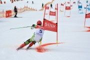 FIS Baltijas kauss 2.posms, FIS paralēlais slaloms, Foto: E.Lukšo