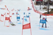 FIS Baltijas kauss 2.posms, FIS paralēlais slaloms, Foto: E.Lukšo