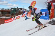 FIS Baltijas kauss 2.posms, FIS paralēlais slaloms, Foto: E.Lukšo