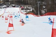 FIS Baltijas kauss 2.posms, FIS paralēlais slaloms, Foto: E.Lukšo