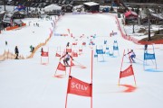 FIS Baltijas kauss 2.posms, FIS paralēlais slaloms, Foto: E.Lukšo