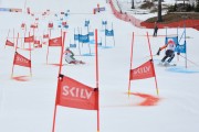 FIS Baltijas kauss 2.posms, FIS paralēlais slaloms, Foto: E.Lukšo