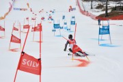 FIS Baltijas kauss 2.posms, FIS paralēlais slaloms, Foto: E.Lukšo