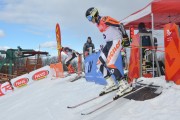 FIS Baltijas kauss 2.posms, FIS paralēlais slaloms, Foto: E.Lukšo