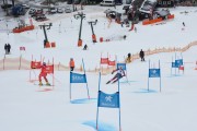 FIS Baltijas kauss 2.posms, FIS paralēlais slaloms, Foto: E.Lukšo