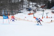 FIS Baltijas kauss 2.posms, FIS paralēlais slaloms, Foto: E.Lukšo