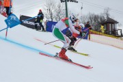 FIS Baltijas kauss 2.posms, FIS paralēlais slaloms, Foto: E.Lukšo