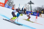 FIS Baltijas kauss 2.posms, FIS paralēlais slaloms, Foto: E.Lukšo