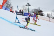 FIS Baltijas kauss 2.posms, FIS paralēlais slaloms, Foto: E.Lukšo